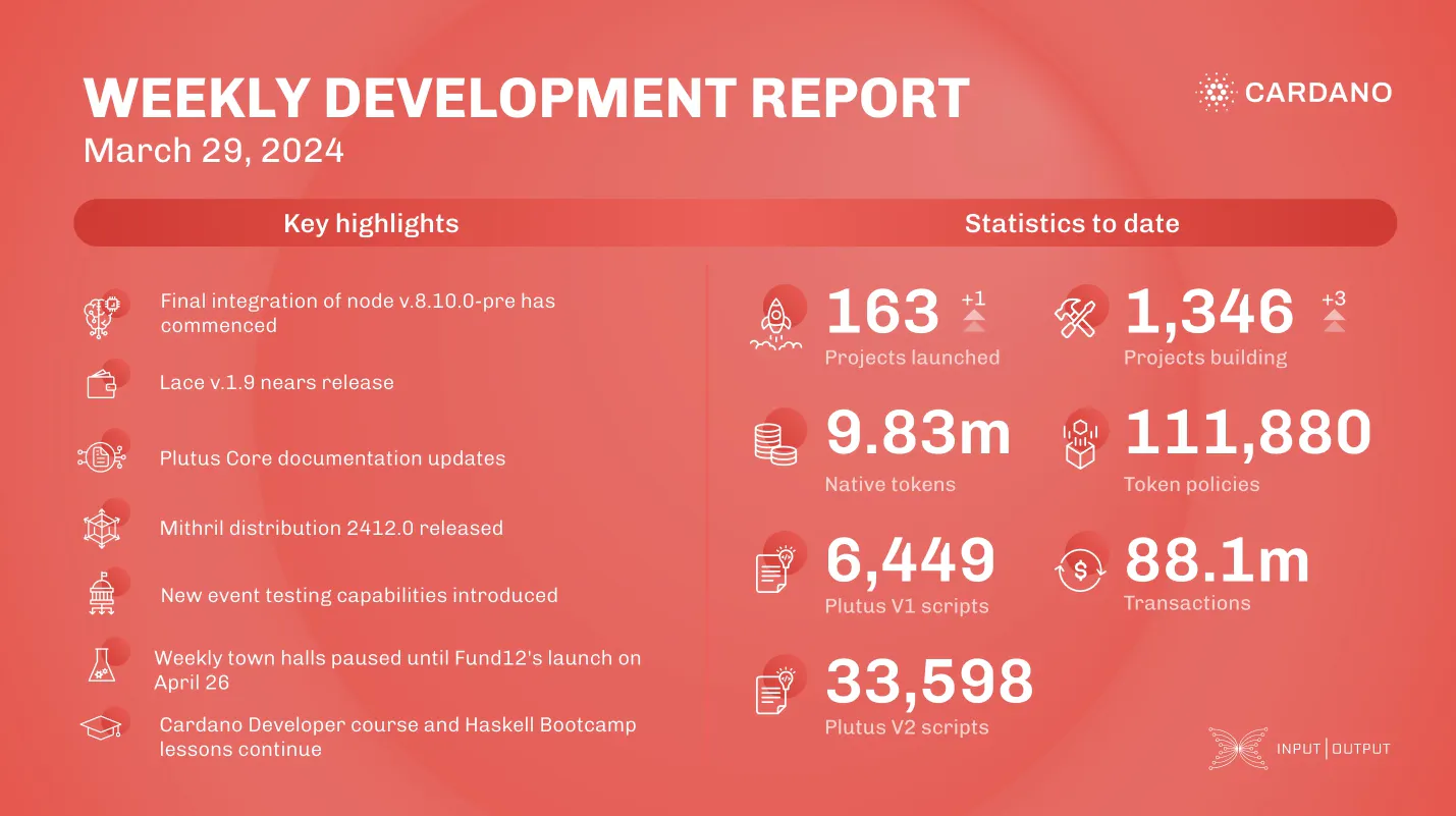 weekly development report