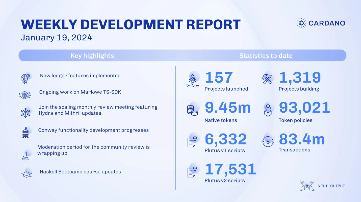 weekly development report