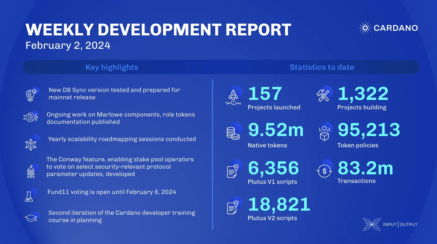 weekly development report